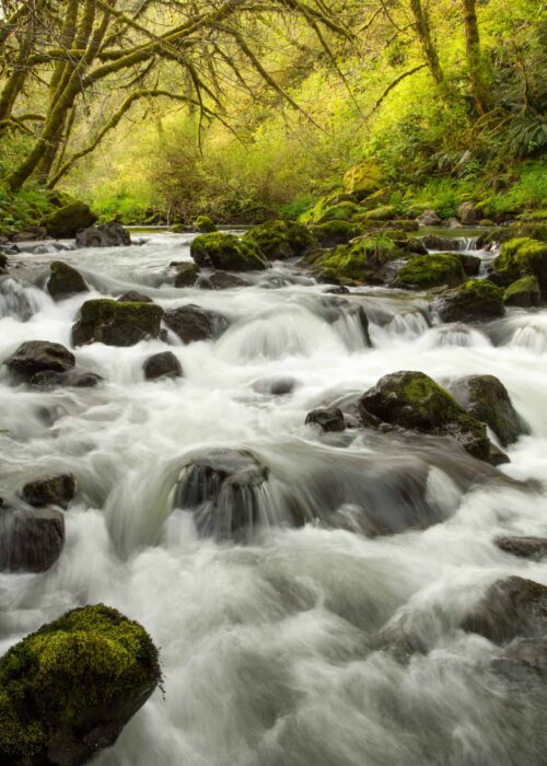 Rushing water cascading over and around rocks on the Little Nestucca River near Pacific City, Oregon.